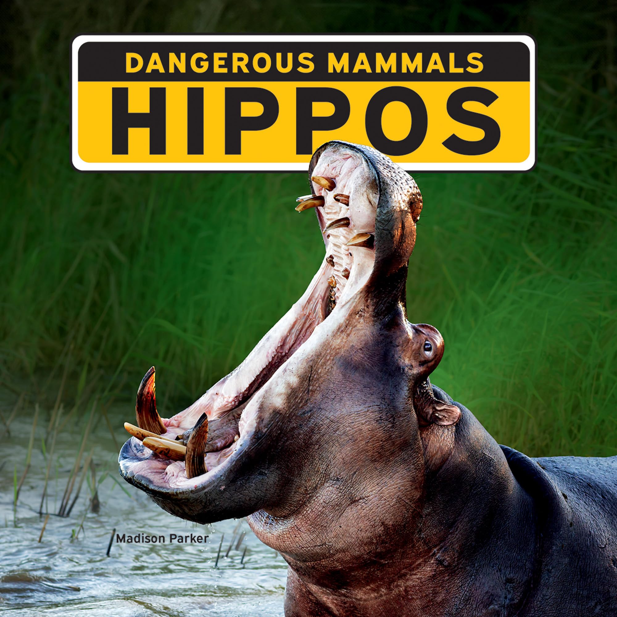 Hippos Non-fiction