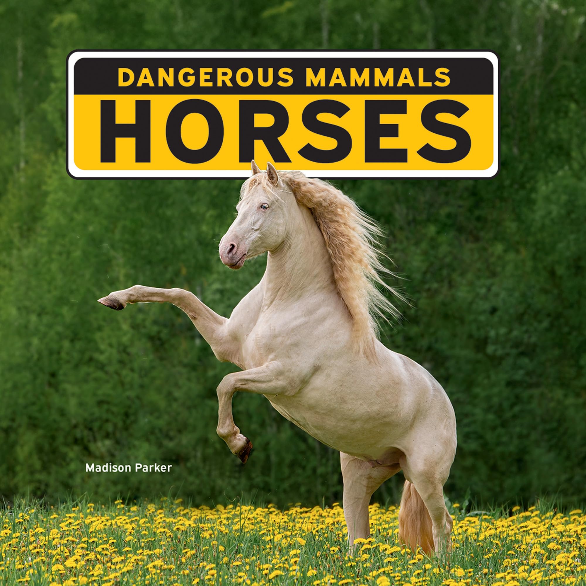 Product Image: Horses