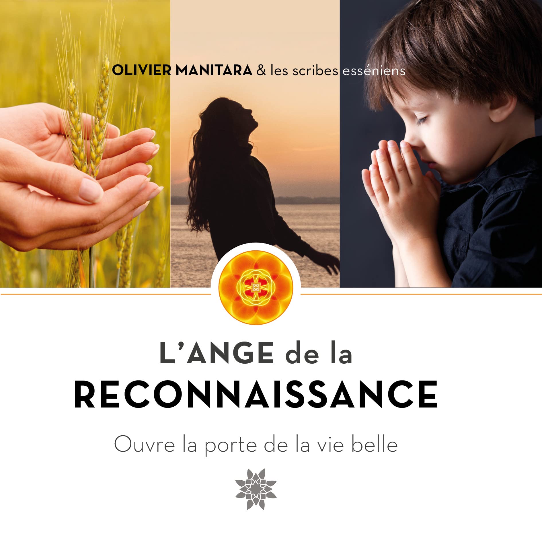 L’Ange de la reconnaissance: Ouvre la porte de la vie belle book