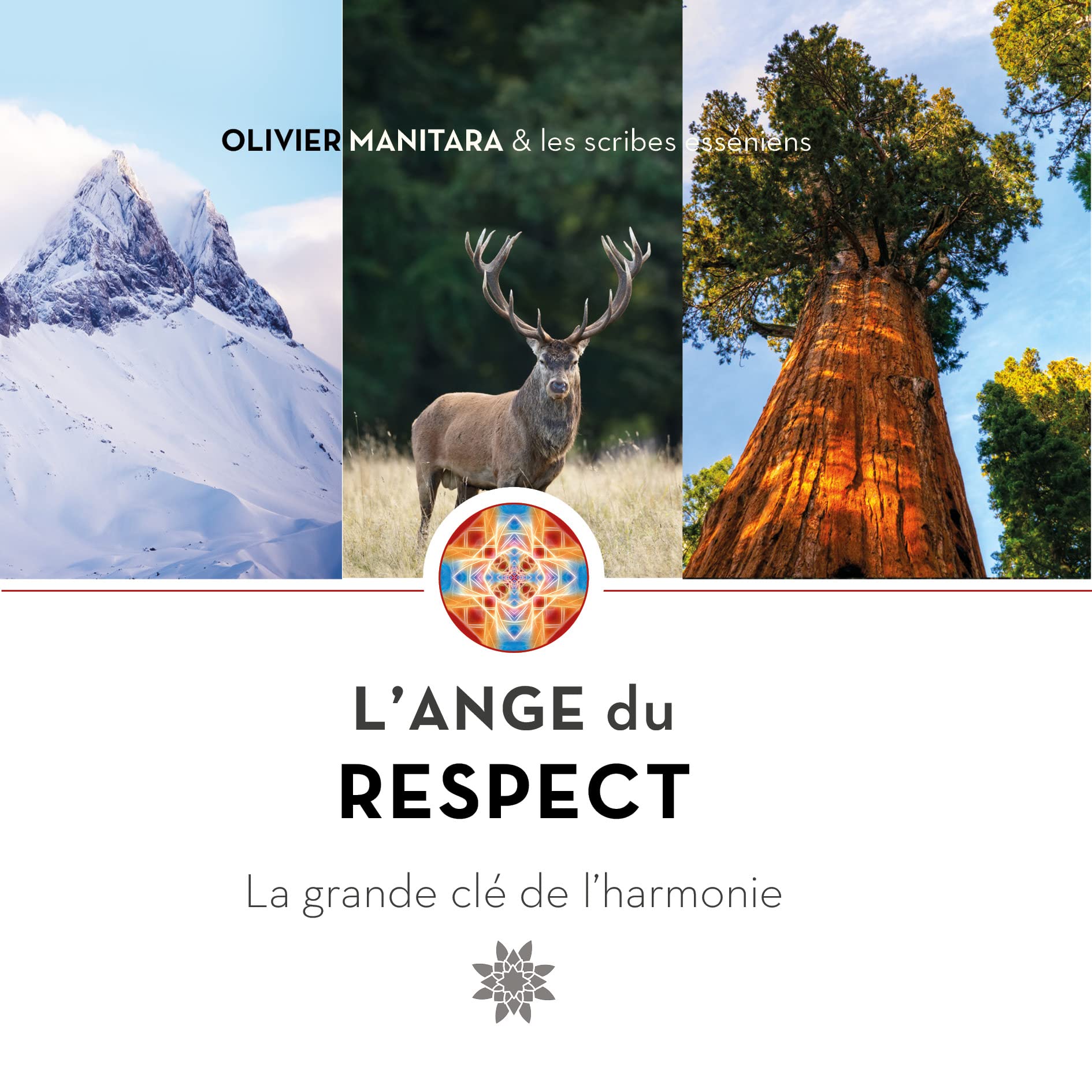L’Ange du respect: La grande clé de l’harmonie book