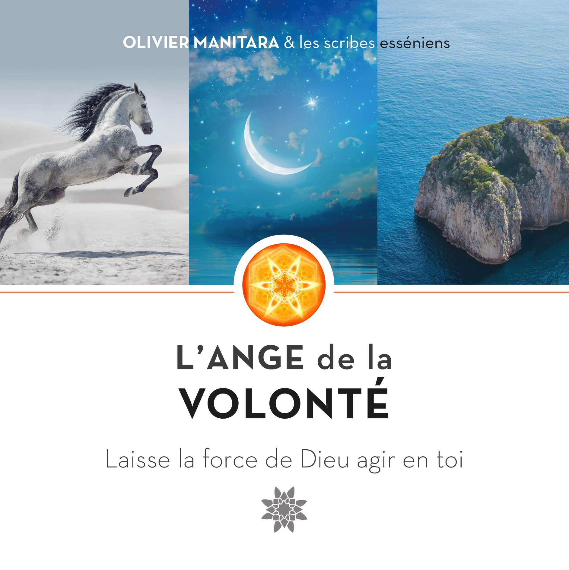 L'Ange de la volonté: Laisse la force de Dieu agir en toi book