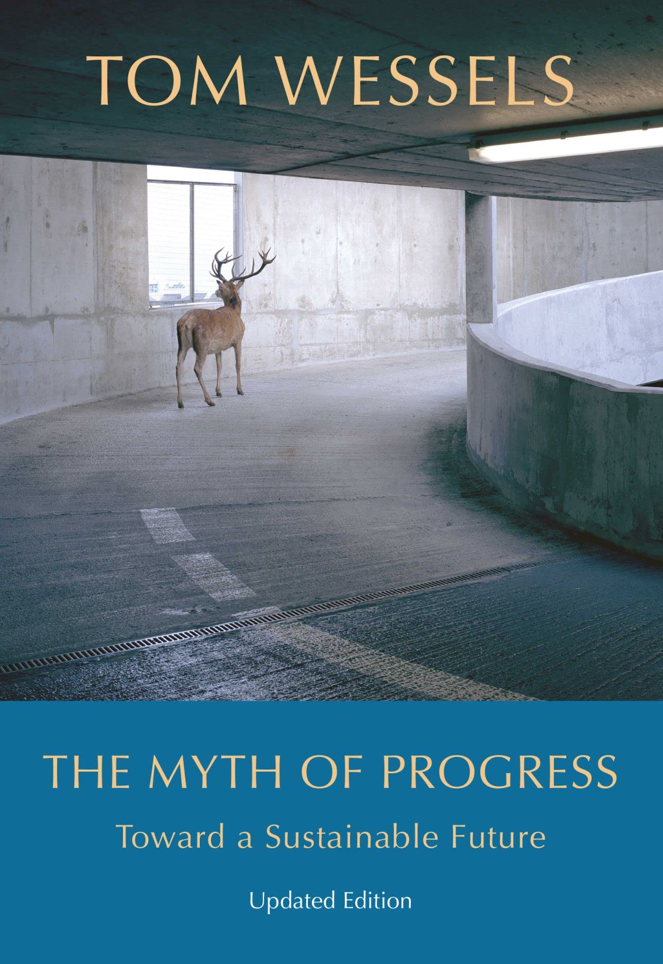 The Myth of Progress: Toward a Sustainable Future Business, Finance & Career