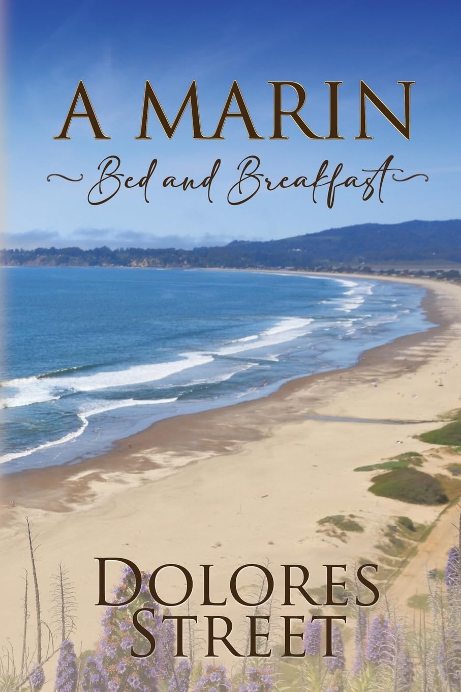 Product Image: A Marin Bed and Breakfast