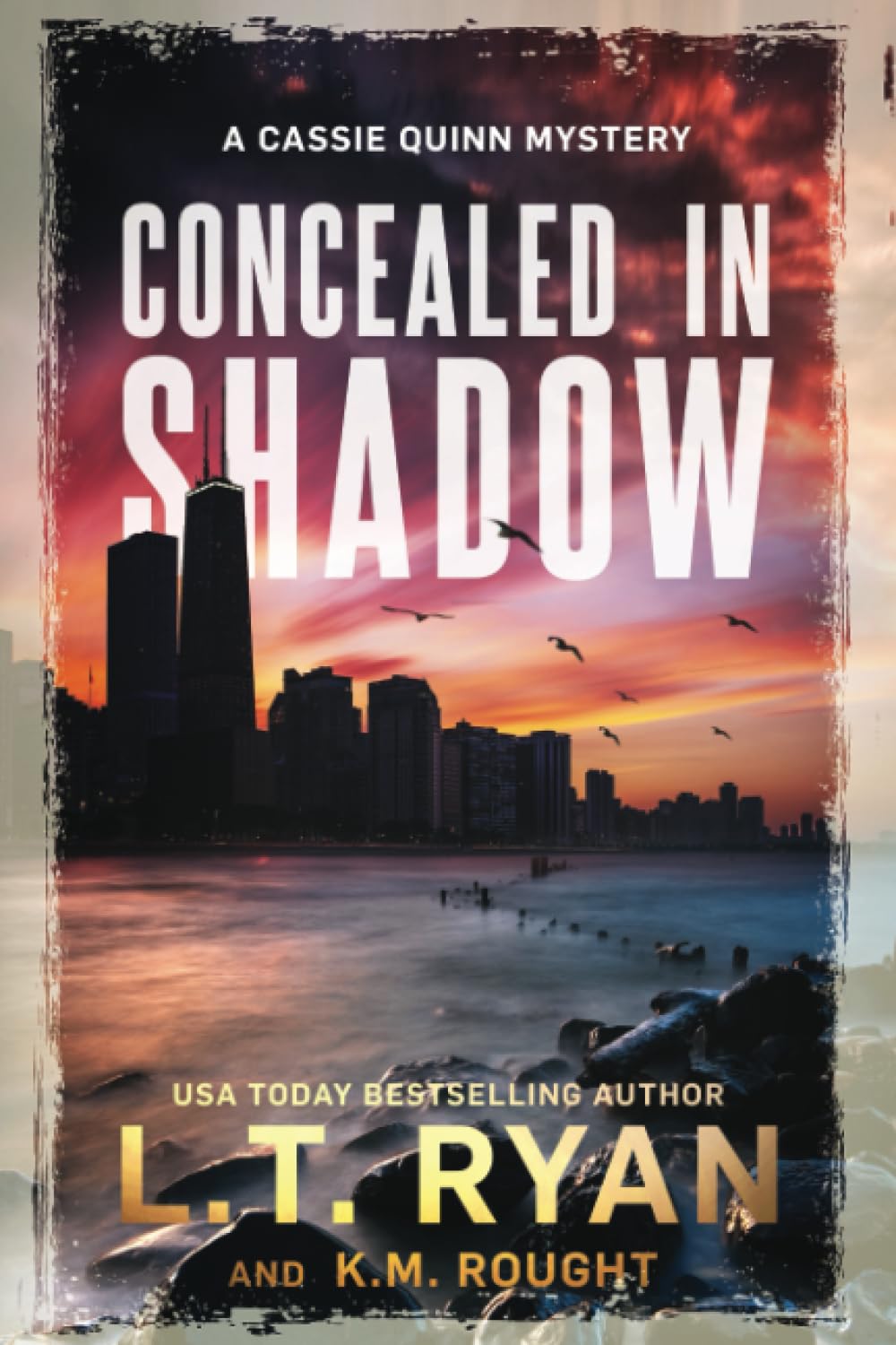 Concealed in Shadow: A Cassie Quinn Mystery Action & Adventure