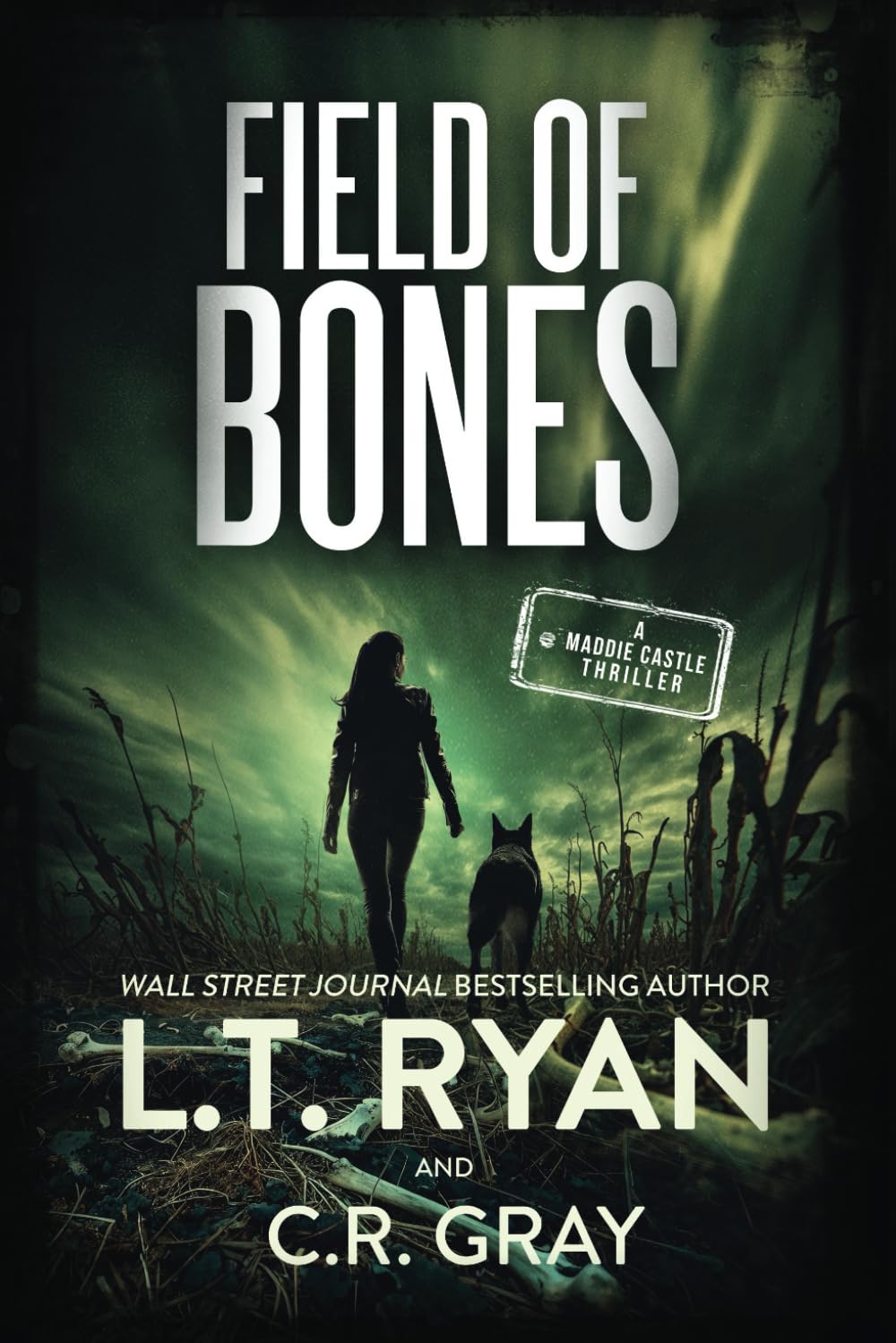 Field of Bones (Maddie Castle, Band 6) Detective & CSI