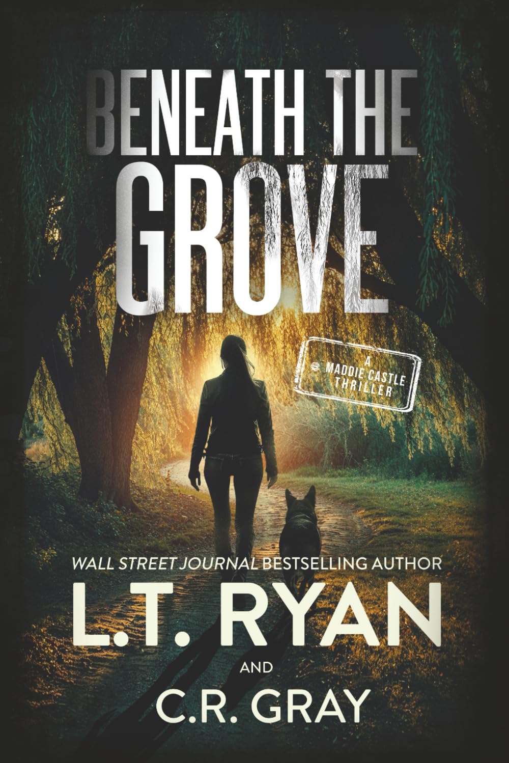 Beneath the Grove (Maddie Castle, Band 7) Detective & CSI
