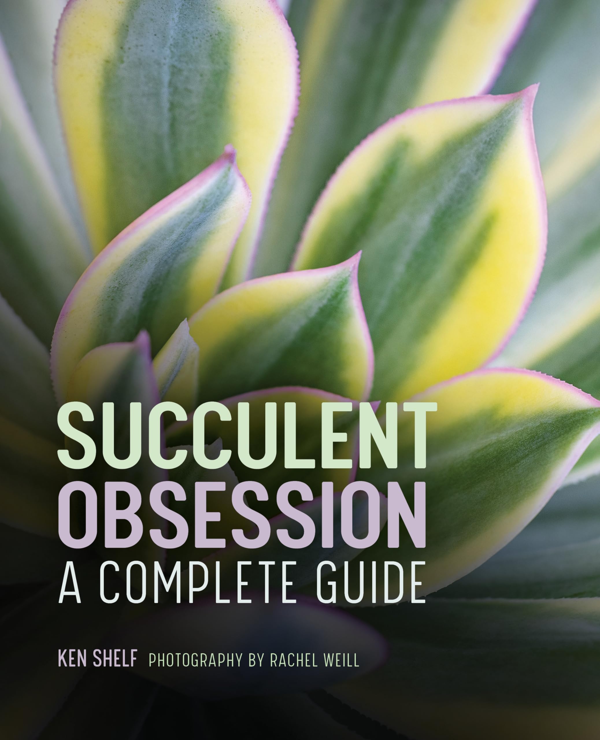 Succulent Obsession Garden & Plants