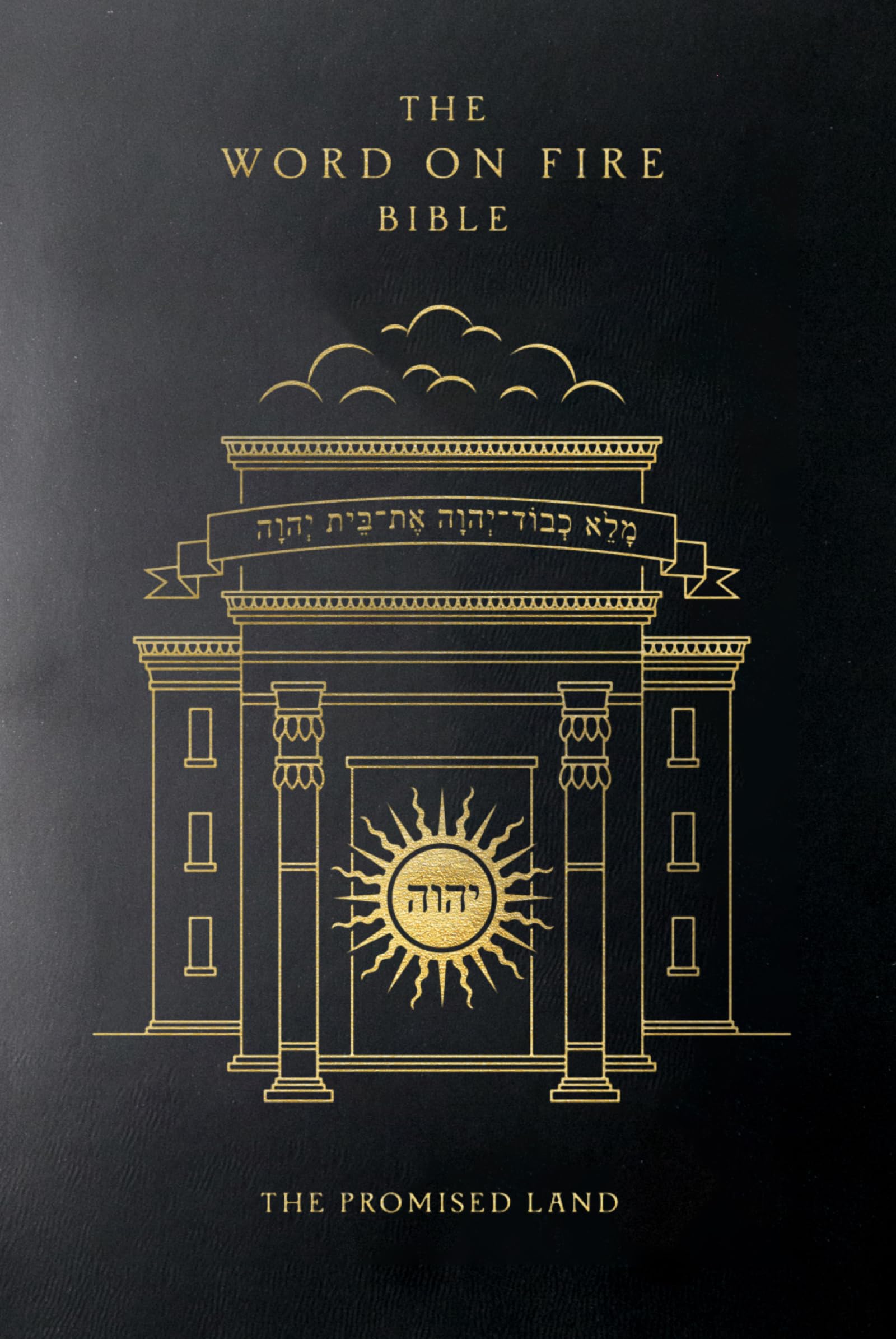 The Word on Fire Bible: The Promised Land Volume 4 Religion & Esotericism