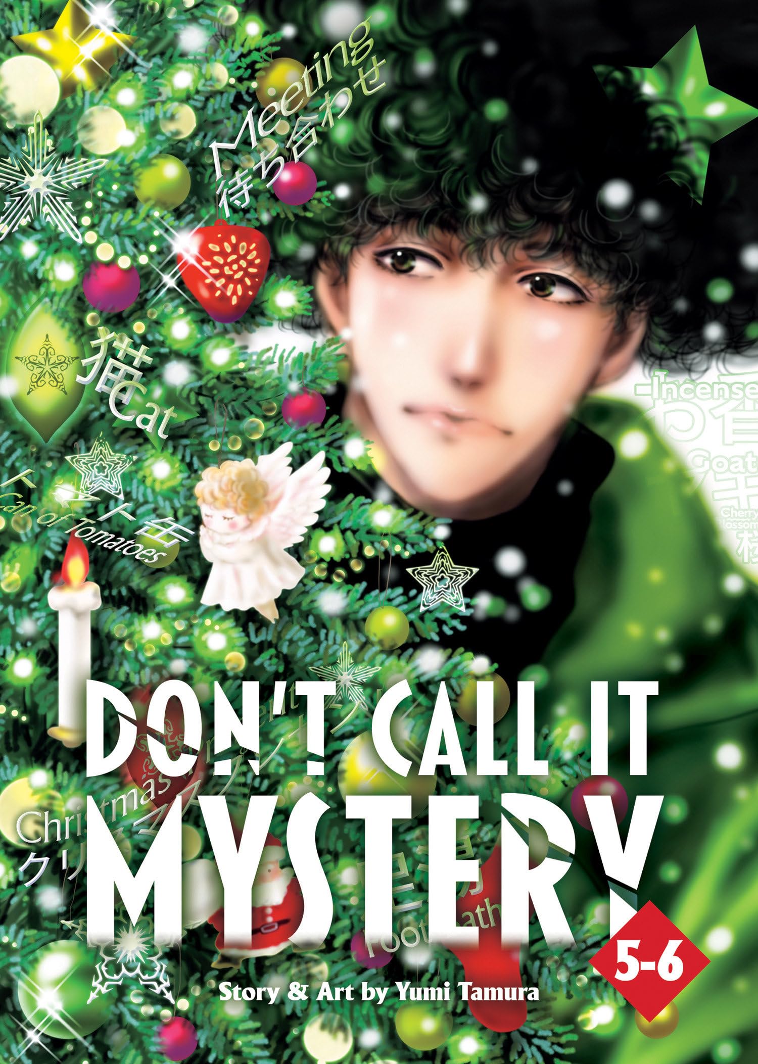 Don't Call It Mystery 3 (5-6) book