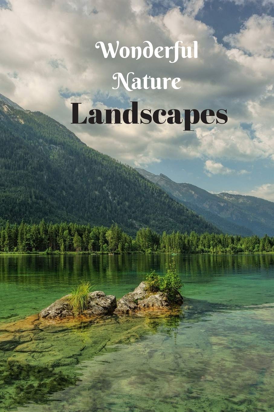 Wonderful Nature Landscapes: Picture book gift for seniors with Dementia or patients with Alzheimer’s. 40 full color photographs of natural landscapes. Nature & Animals