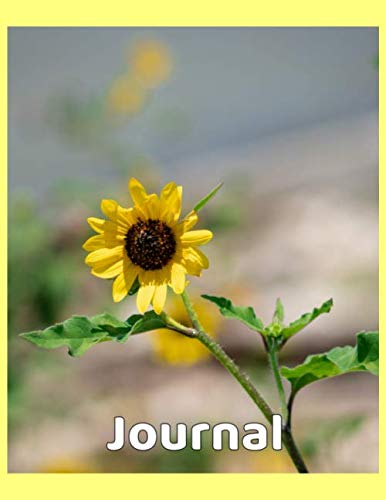 Journal: Florals (Flower Diary, Band 36) Learning & Reference
