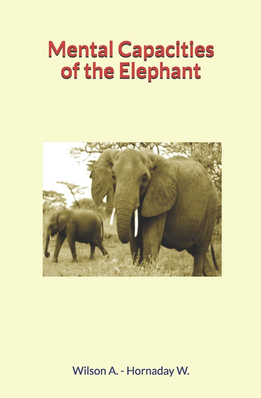 Mental Capacities of the Elephant Mathematics