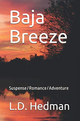 Baja Breeze: Suspense/Romance/Adventure (Federal Agent, B.J. Jenkins, Band 2) Action & Adventure