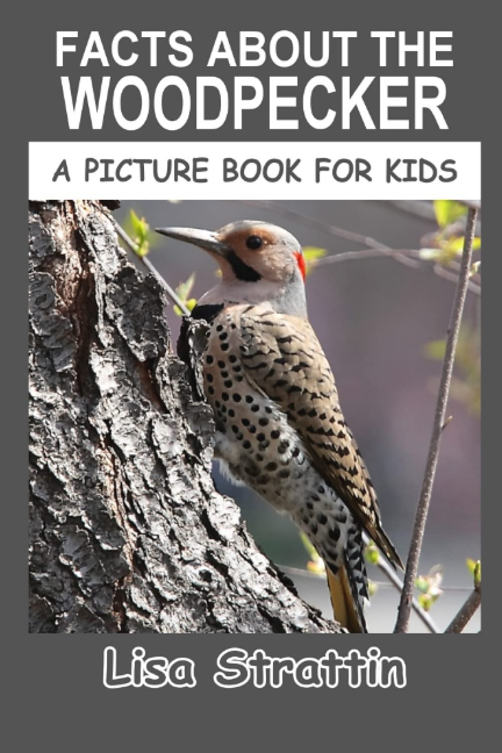 Facts About the Woodpecker (A Picture Book For Kids, Band 201) Non-fiction