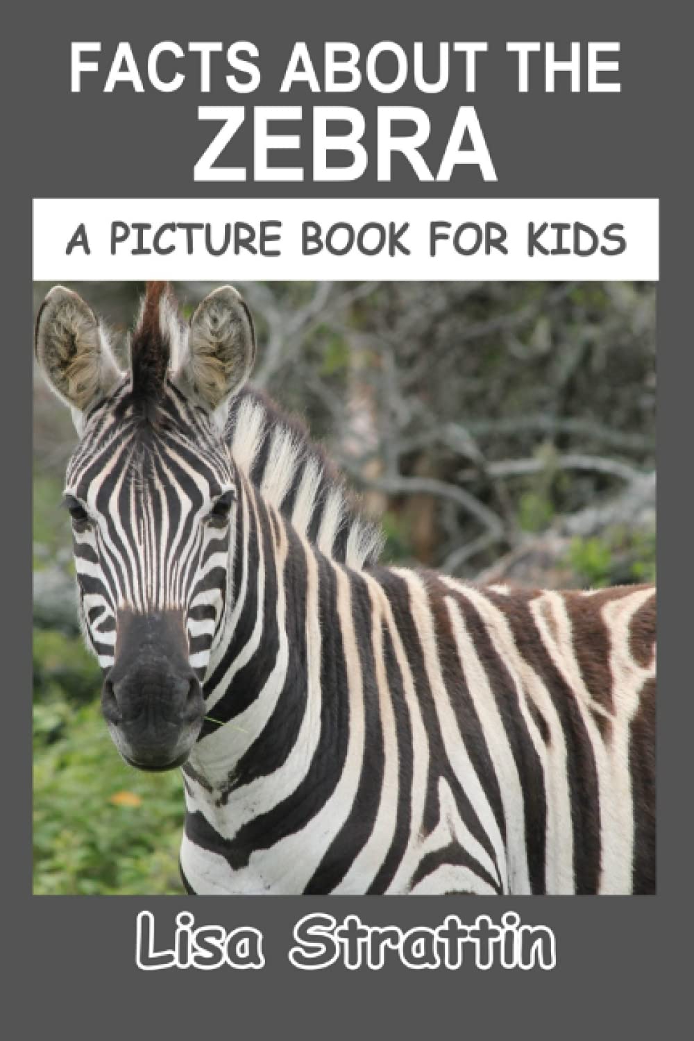 Facts About the Zebra (A Picture Book For Kids, Band 202) Non-fiction