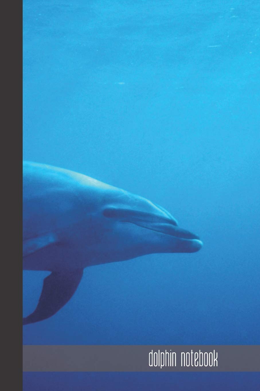 dolphin notebook: small lined Dolphin Notebook / Travel Journal to write in (6'' x 9'') 120 pages Mathematics