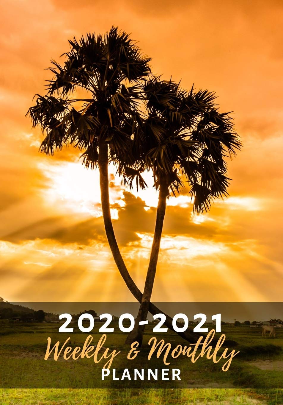 Weekly and Monthly Planner: Organize Your Daily Activies At Home School And Office - Palm Trees Sunset Landscape (2020-2021, Band 1) Business, Finance & Career