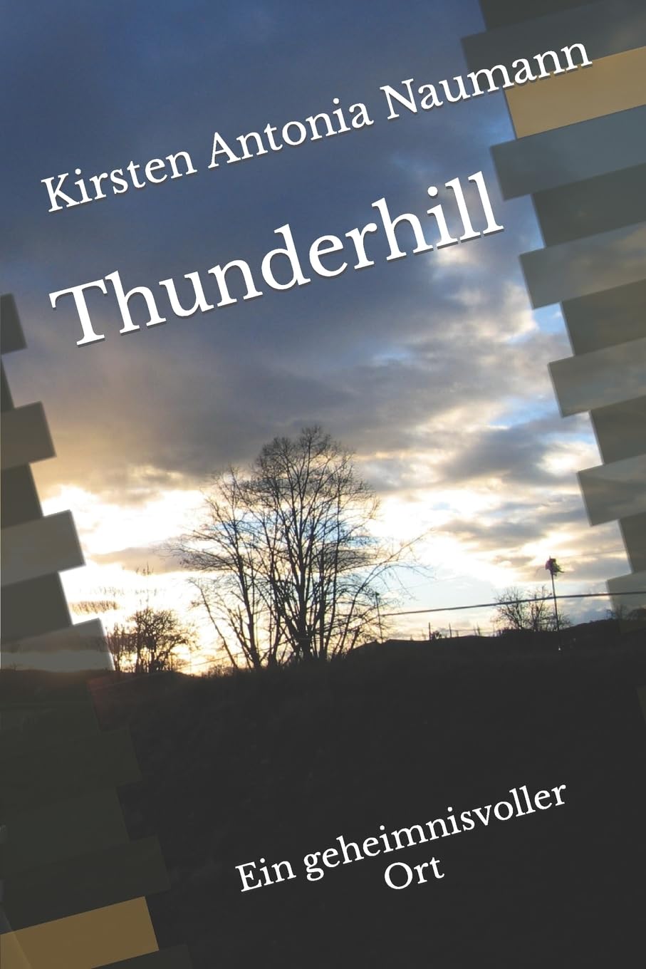 Thunderhill: Ein geheimnisvoller Ort Contemporary literature