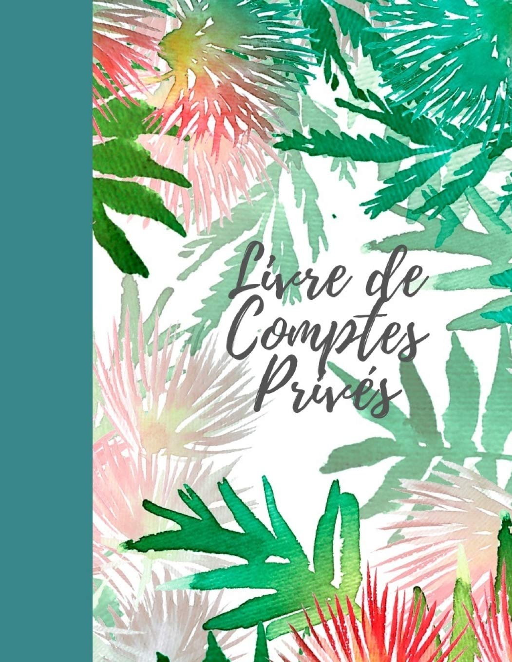 Livre De Comptes Privés: developpement personnel livre I carnet de compte I developpement personnel I livre de compte I cahier compte I carnet de comptes I cahier recette depense I Budget Planner I Business & Technology