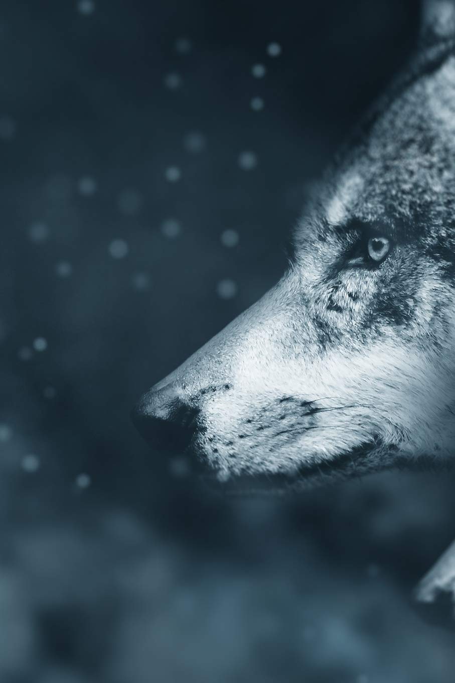 Wolf Totem: Blank Spell Book Journal For Witches, Conjurers And Magical Rituals Mathematics