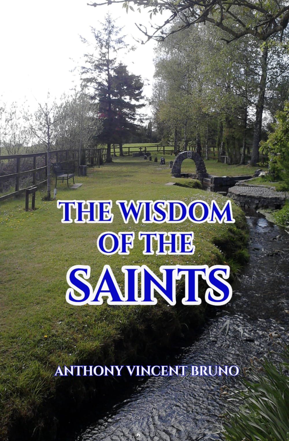 The Wisdom of the Saints Religion & Esotericism
