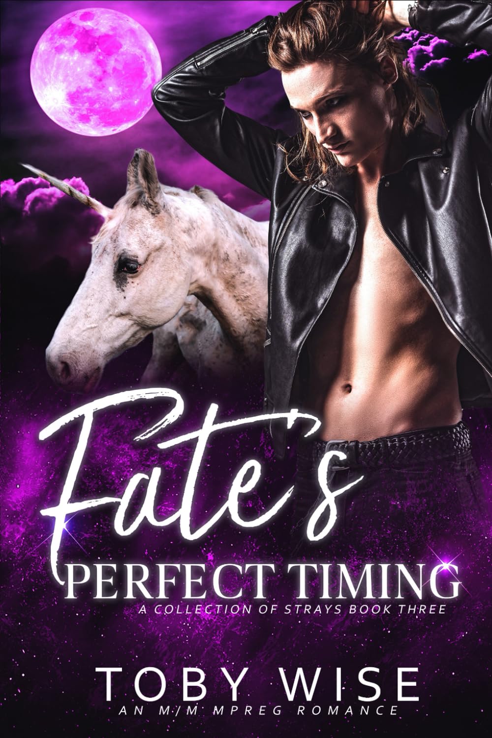 Fate's Perfect Timing (A Collection of Strays, Band 3) LGBTQ+