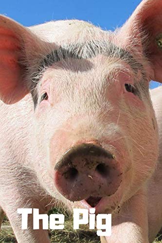 The Pig: Notebook for animal lovers (110 Pages, blank, 6 x 9)great for writing notes and ideas for home use or school homework Business, Finance & Career