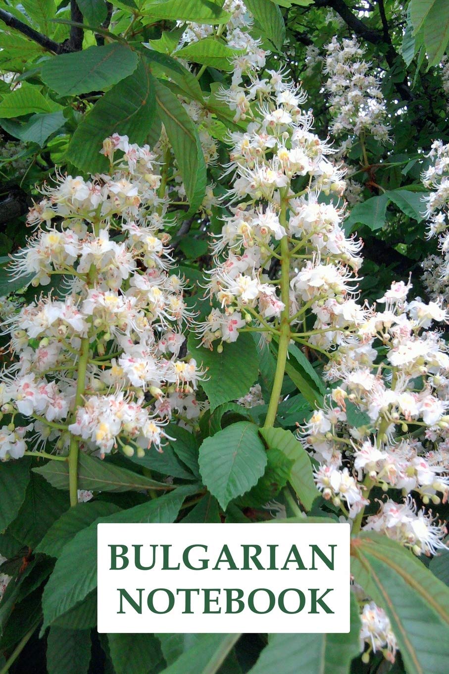 Bulgarian Notebook: Journal, Diary, 6 x 9, 120 lined pages for writing Essays & Short Stories