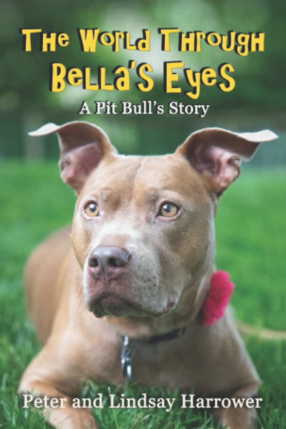 The World Through Bella's Eyes: A Pit Bulls Story Pets
