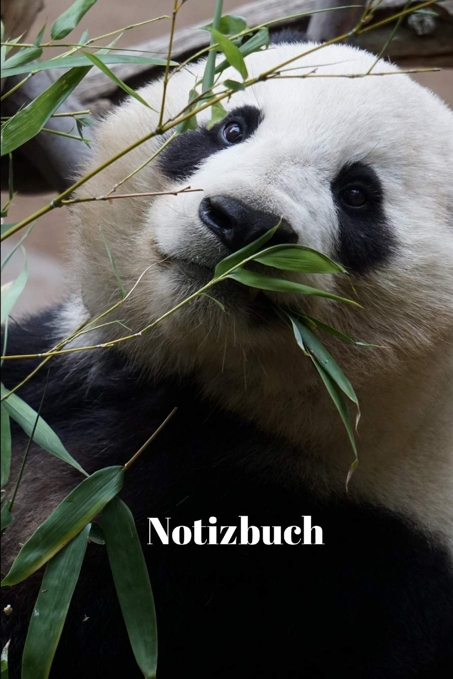 Notizbuch: zum Schreiben, Planen, Zeichnen und Notieren book