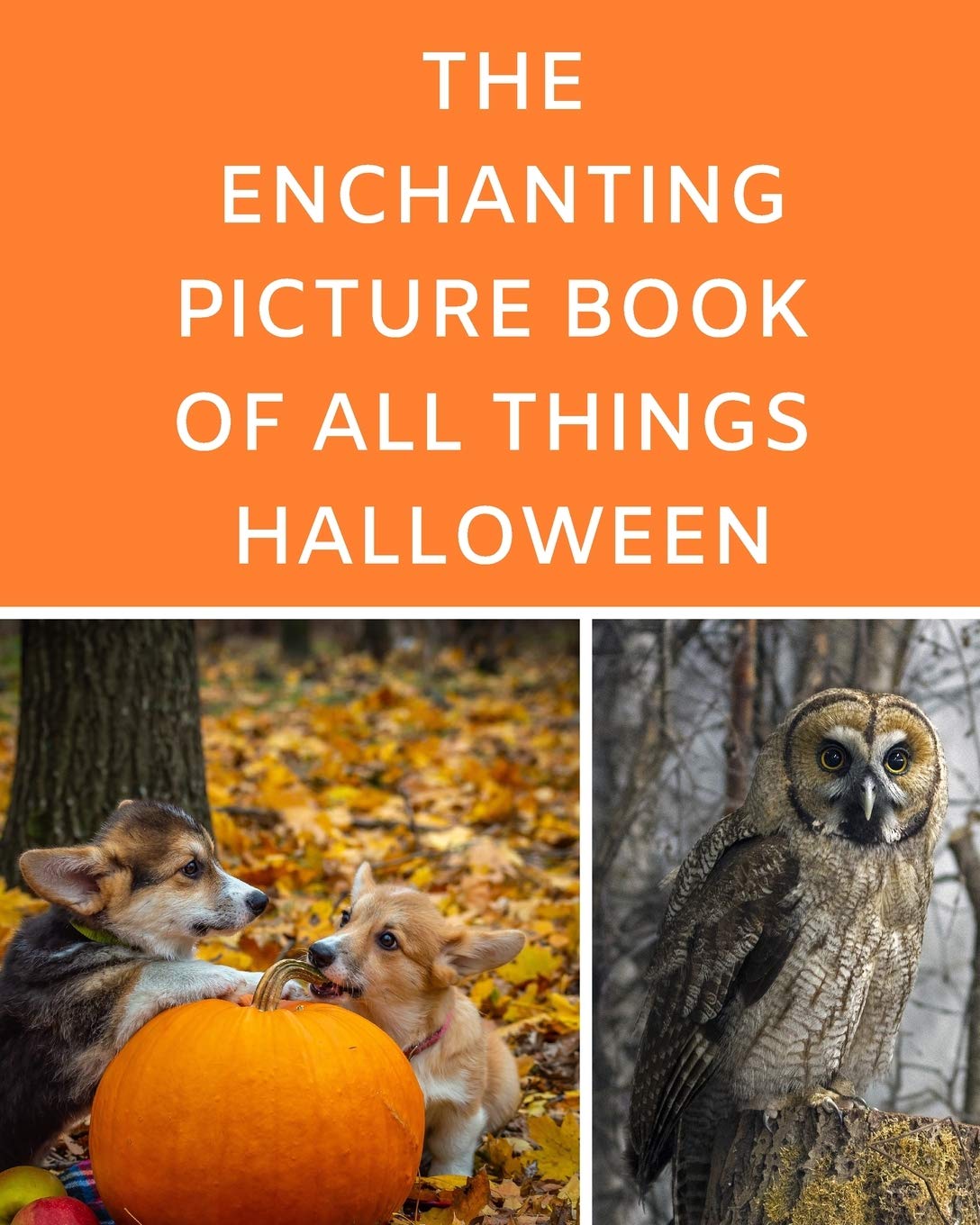 The Enchanting Picture Book Of All Things Halloween: A Reading Gift Book for Alzheimer Or Dementia Patients Parents Grandparents: Senior Citizens Day Health, Nutrition & Fitness