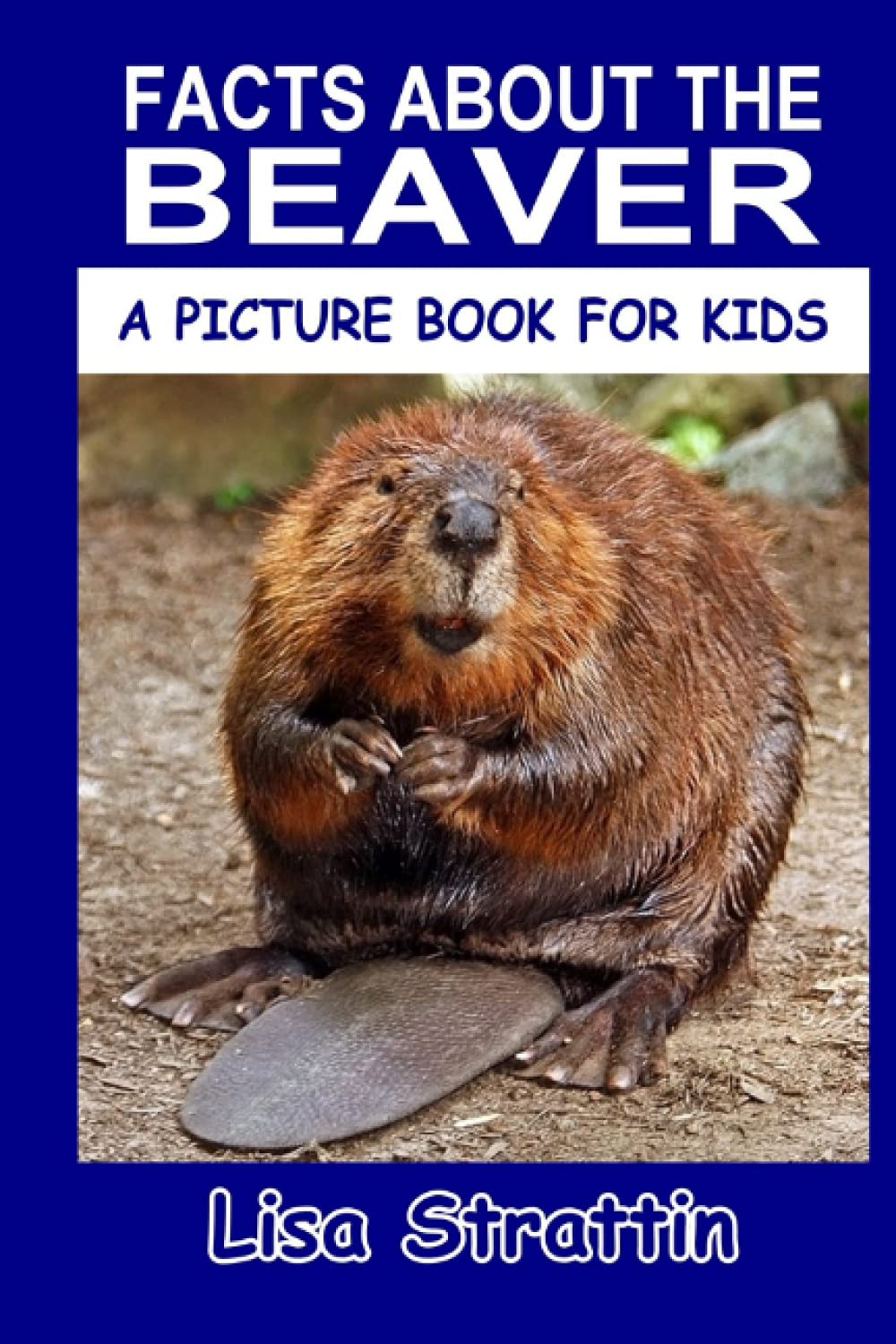 Facts About the Beaver (A Picture Book For Kids, Band 223) Non-fiction