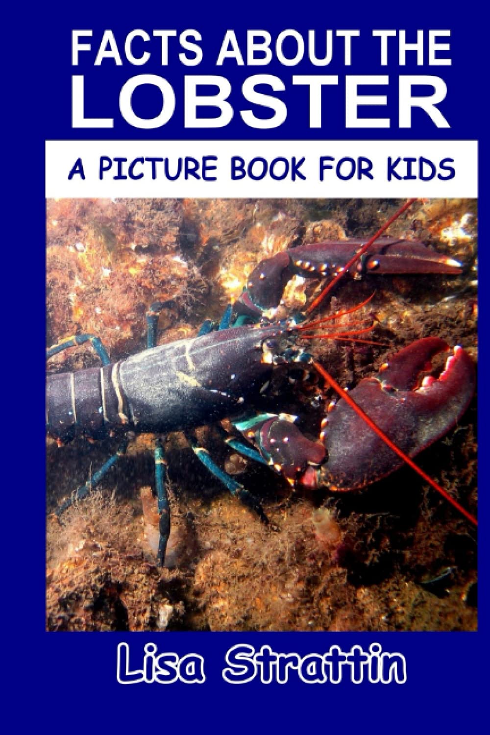 Facts About the Lobster (A Picture Book For Kids, Band 224) Non-fiction