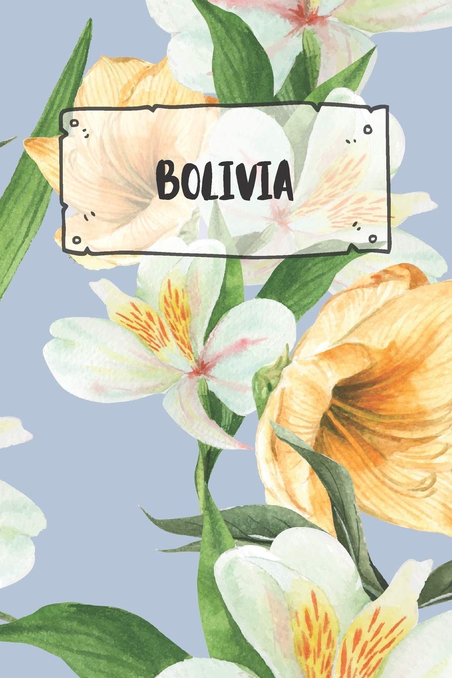 Bolivia: Ruled Travel Diary Notebook or Journey Journal - Lined Trip Pocketbook for Men and Women with Lines Books