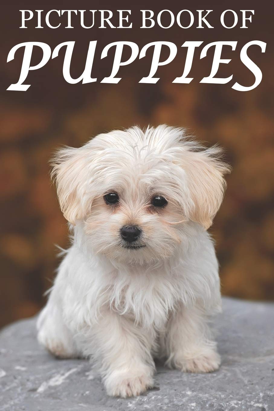 Picture Book of Puppies: Picture Book of Puppies: For Seniors with Dementia (Picture Books of Animals for People with Dimentia, Band 4) Medicine