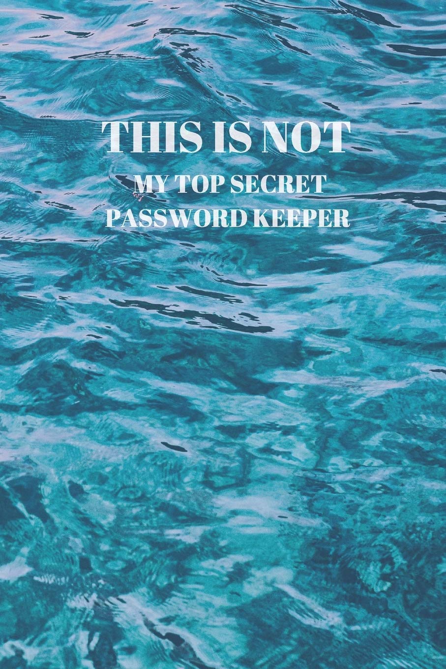 THIS IS NOT MY TOP SECRET PASSWORD KEEPER: 94 PAGES OF 6 X 9 INCH HANDY PRELINED PASSWORD KEEPER INFO Computer Science