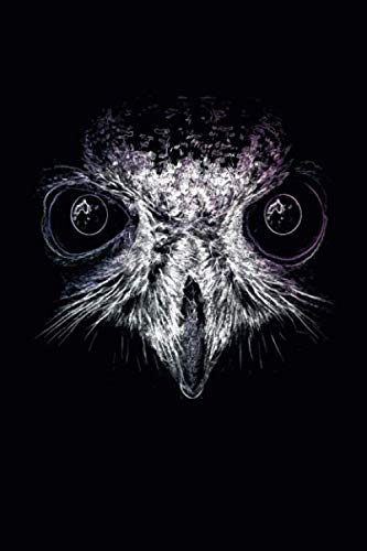 Owl: Vokabelheft | DIN A5 | 120 Seiten | Softcover | Zweispaltig | liniert | für Grundschule, Hauptschule, Realschule, Gymnasium | für Schüler und Studenten Books