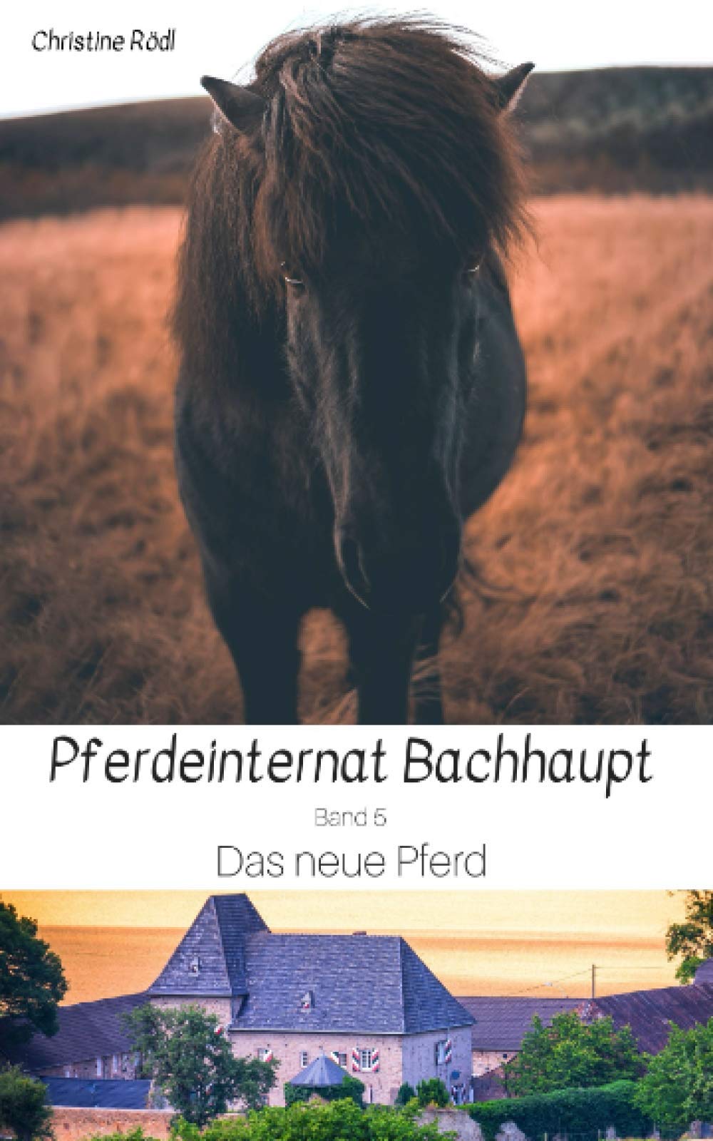 Das neue Pferd (Pferdeinternat Bachhaupt, Band 5) Pets