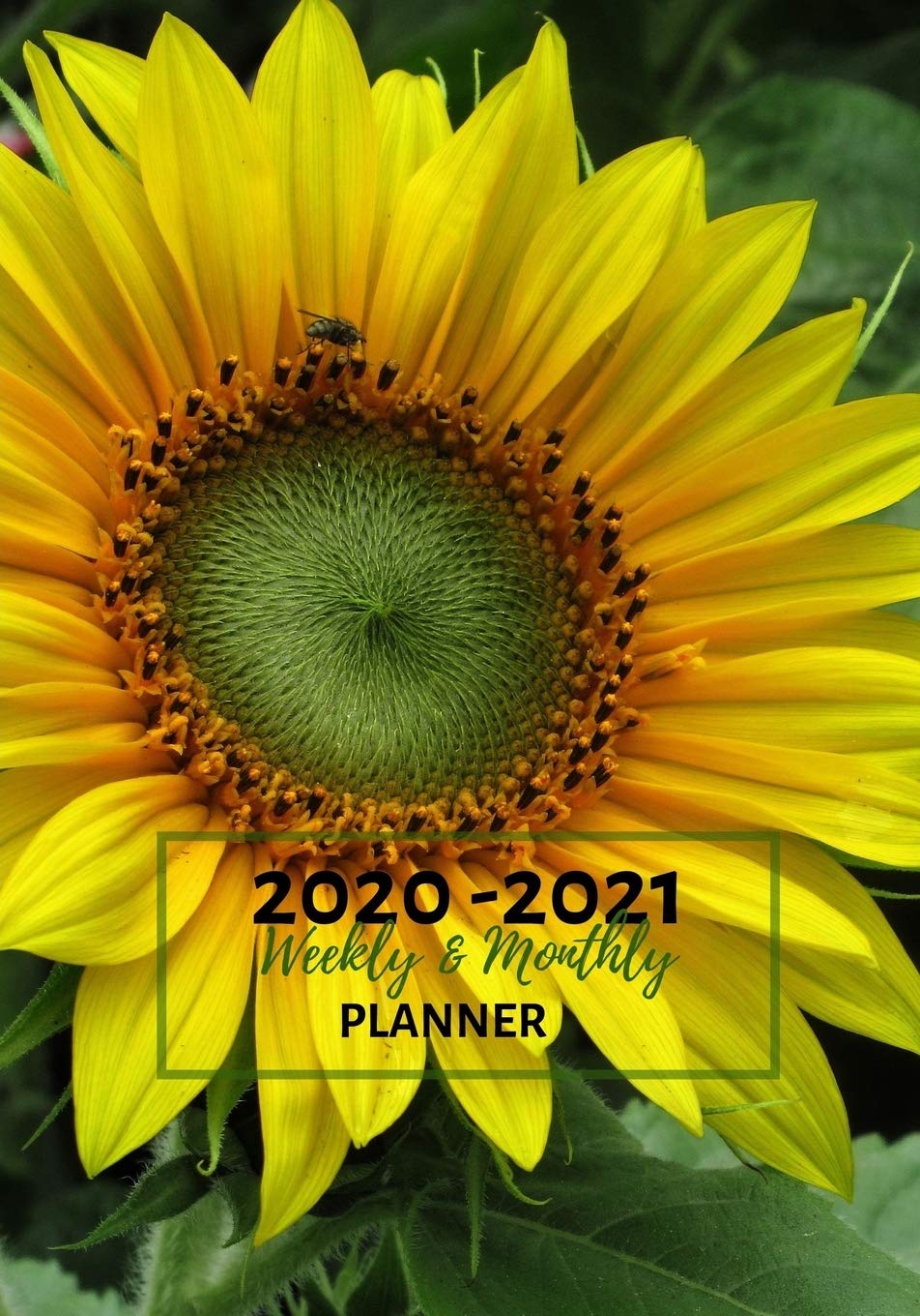 Weekly And Monthly Planner: Organize Your Daily Activities At Home School And Office - Cute Green Sunflower (2020-2021, Band 1) Business, Finance & Career