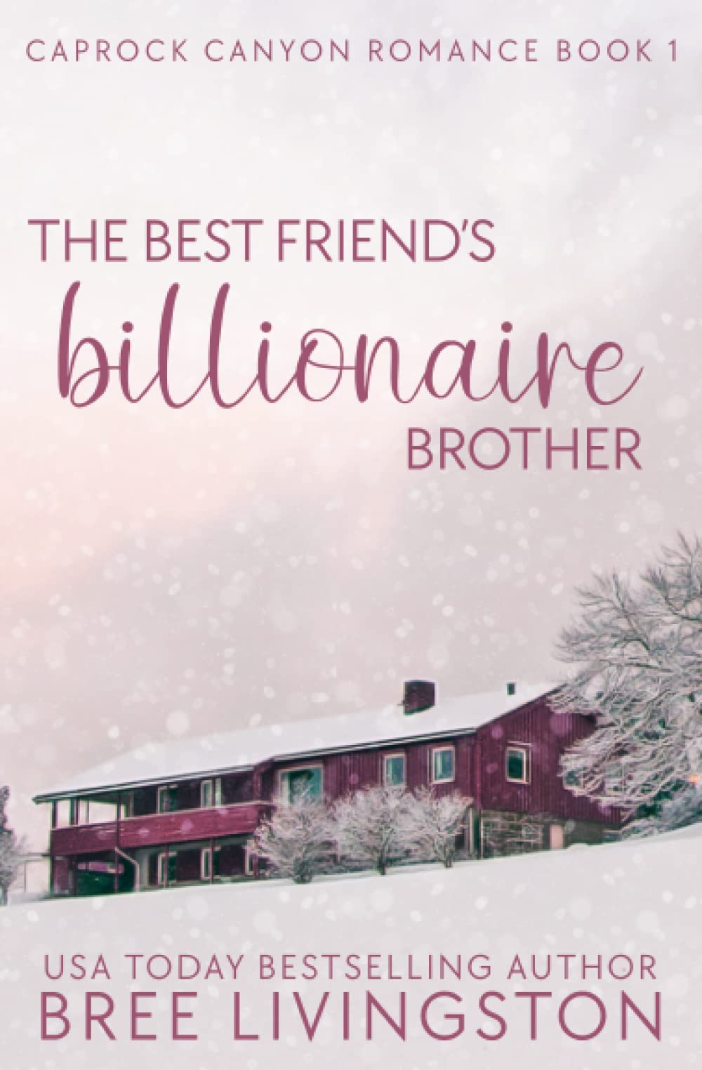 The Best Friend's Billionaire Brother: A Caprock Canyon Romance Book One Contemporary Romance