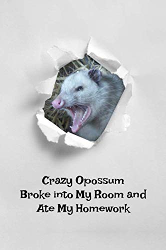 Crazy Opossum Broke into My Room and Ate My Homework: Funny homework tracker for all ages, 6x9 book to log in: Class, Assignment, Due Date. Includes 10 month calendar. (Sept 2019.-June 2020) Non-fiction