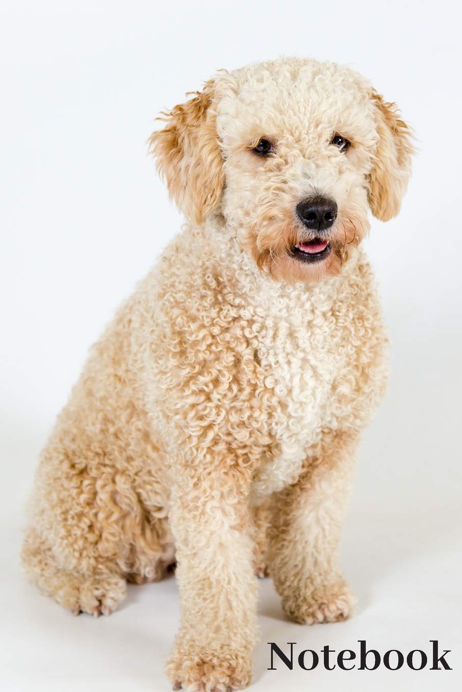 Notebook: Cute Dogs Notebook; Dog Notebook; Puppy Notebook; Dog Breeds Notebook; I Like Dogs More Than People; 6X9inch Notebook with 108-wide lined pages Pets