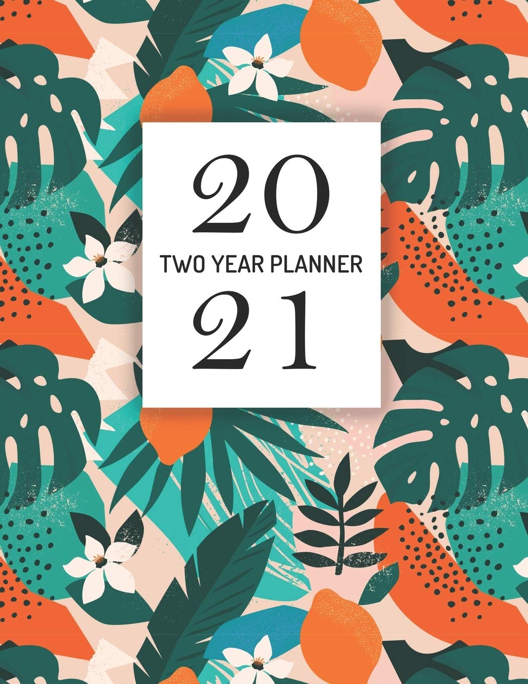 2020-2021 Two Year Planner: Floral Pattern Design Calendar Appointment Organizer. 24 Months Jan 2020 - Dec 2021 Mathematics
