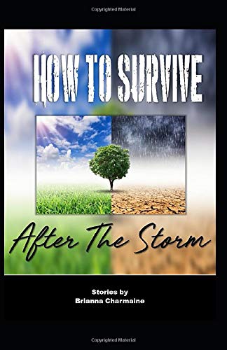 How To Survive After The Storm Poetry