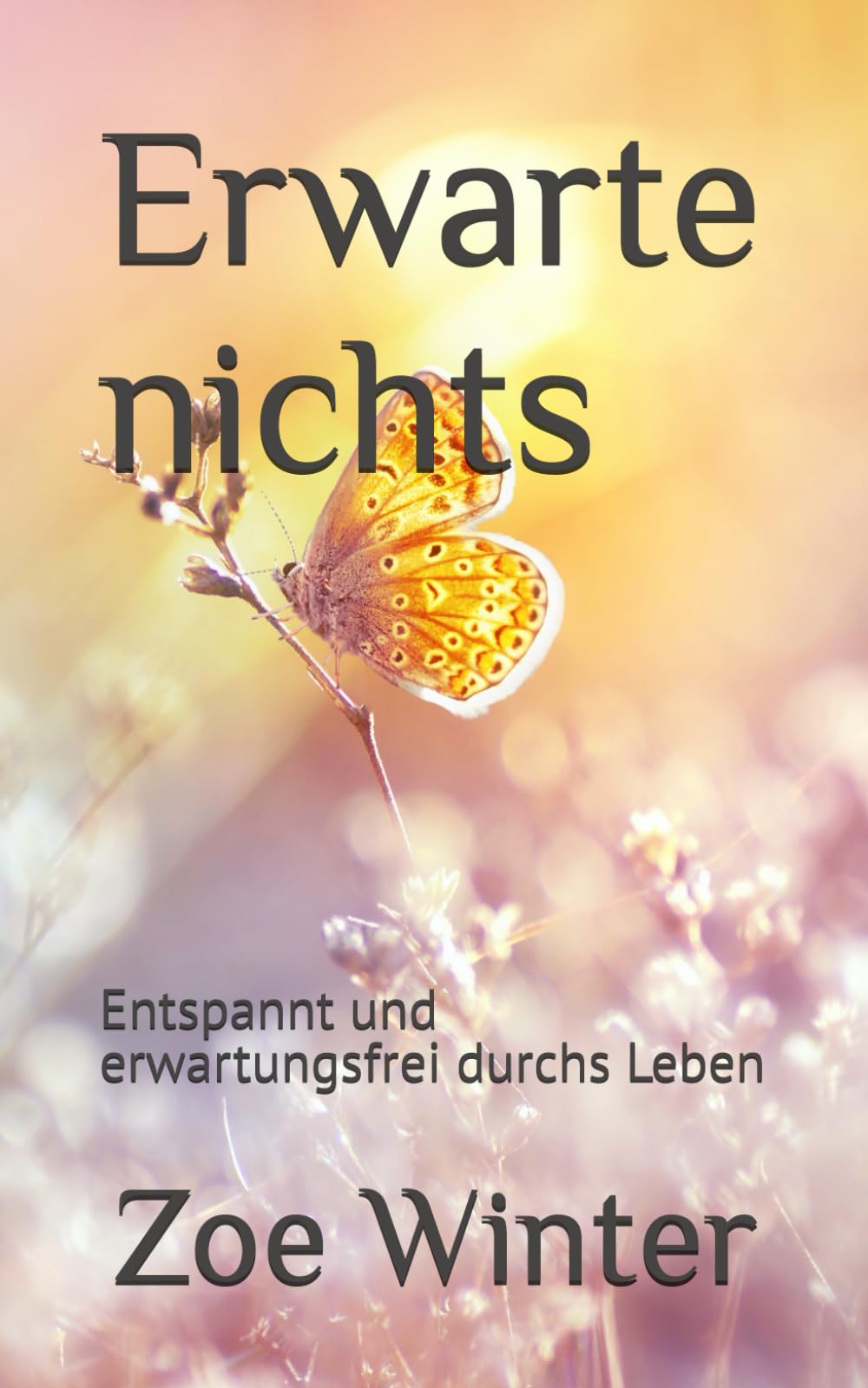 Erwarte nichts: Entspannt und erwartungsfrei durchs Leben Leisure, Home & Garden