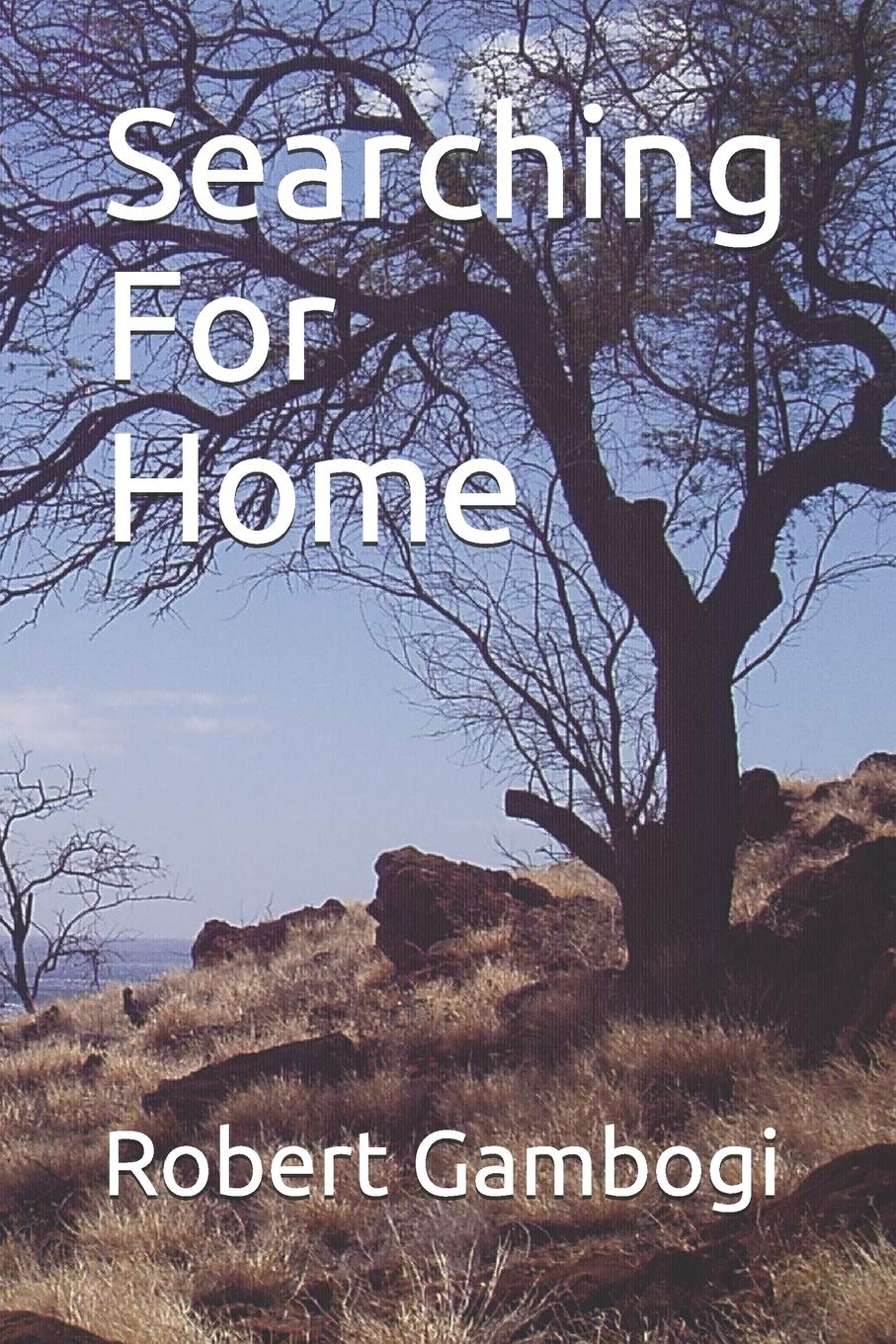 Searching For Home: Old crimes, old lust, old lies, old deceptions—they don’t die, they fester and create haunting curses. (Lisa and Luis BOOK 2, Band 2) Detective & CSI
