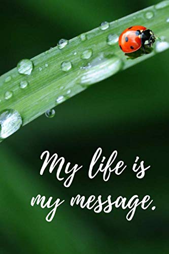 My Life is my message.: Motivational Notebook, Journal, Diary (110 Pages, Blank, 6 x 9) Business, Finance & Career