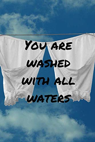 You are washed with all waters: Du bist mit allen Wassern gewaschen - Liniertes Denglisch Notizbuch | Journal | mit lustigem Denglisch Spruch in A5 - ... für Schüler - Einzelheiten siehe Beschreibun Books