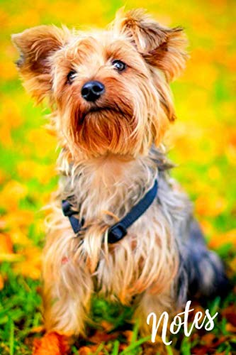 Notebook: Cute Yorkshire Terrier Journal (Blank Lined Diary). Adorable Long Haired Dogs Notepad For Animal Lovers. Pets