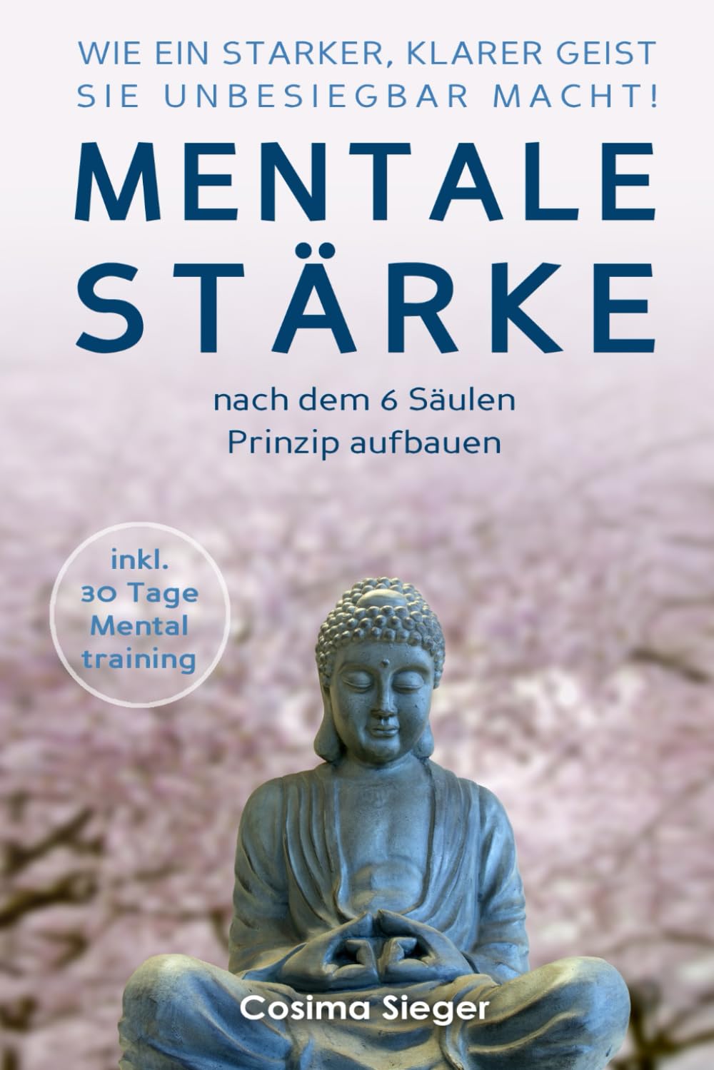 WIE EIN STARKER, KLARER GEIST SIE UNBESIEGBAR MACHT! Mentale Stärke nach dem 6 Säulen Prinzip aufbauen: (inkl. 30 Tage Mentaltraining) Lifestyle